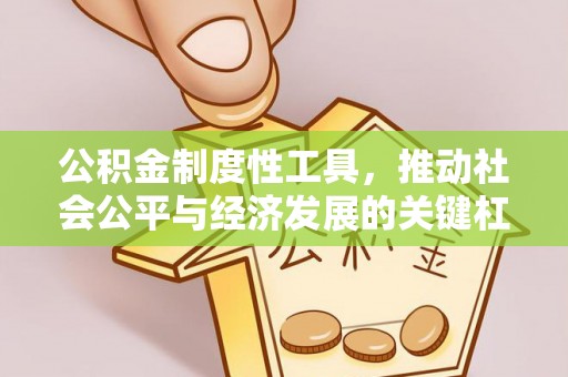 新宾公积金制度性工具，推动社会公平与经济发展的关键杠杆