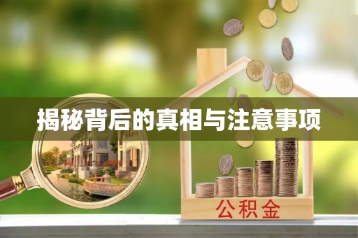新宾揭秘背后的真相与注意事项