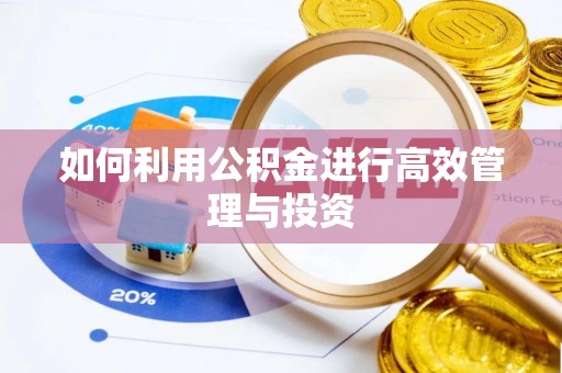 新宾如何利用公积金进行高效管理与投资