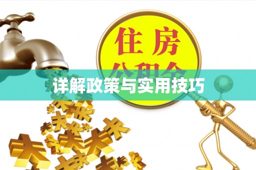 新宾详解政策与实用技巧
