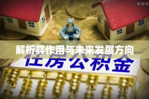 新宾解析其作用与未来发展方向