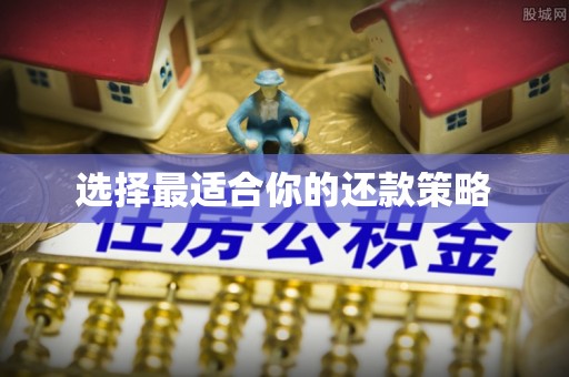 新宾选择最适合你的还款策略