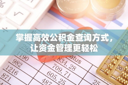 新宾掌握高效公积金查询方式，让资金管理更轻松