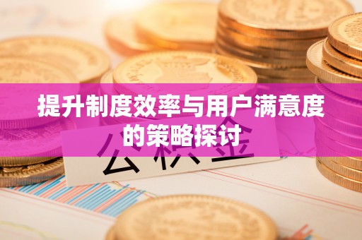新宾提升制度效率与用户满意度的策略探讨