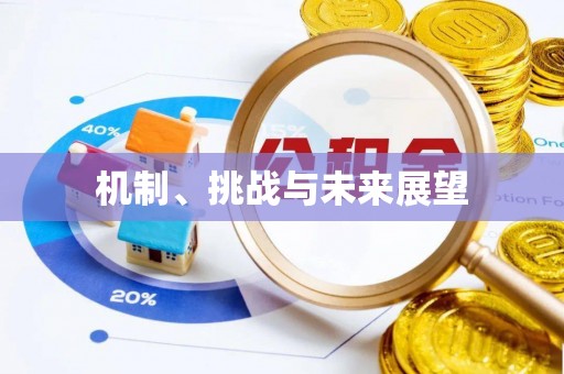 新宾机制、挑战与未来展望